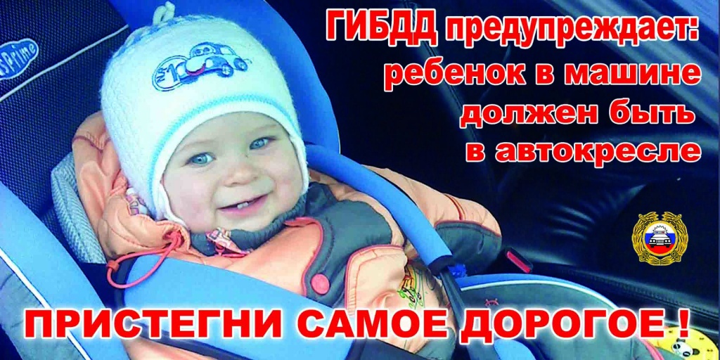 Картинка.jpg