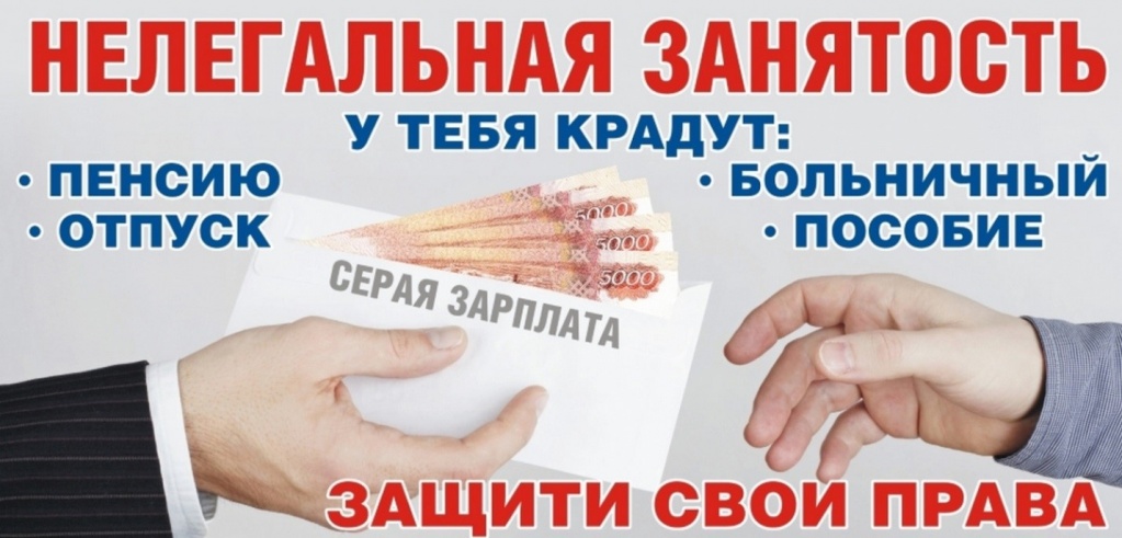 нз1.jpg