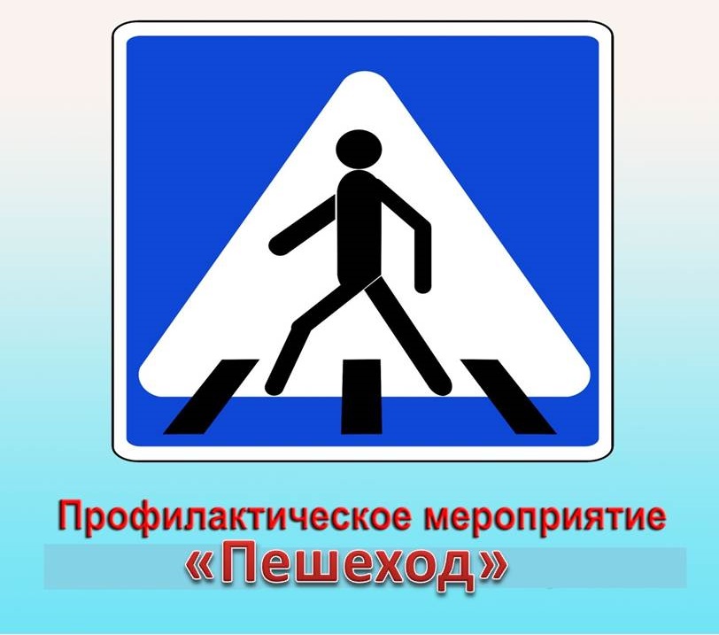 Картинка.jpg