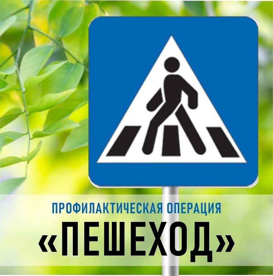 Картинка.jpg