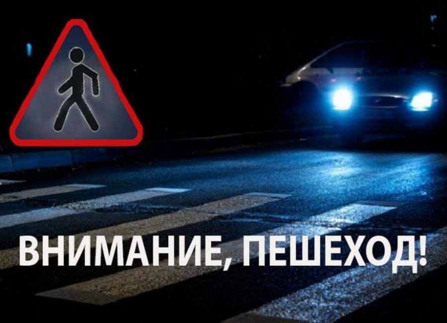 Картинка.jpg