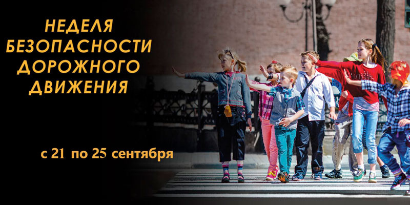 Картинка.jpg