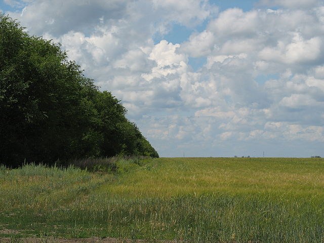 30.jpg