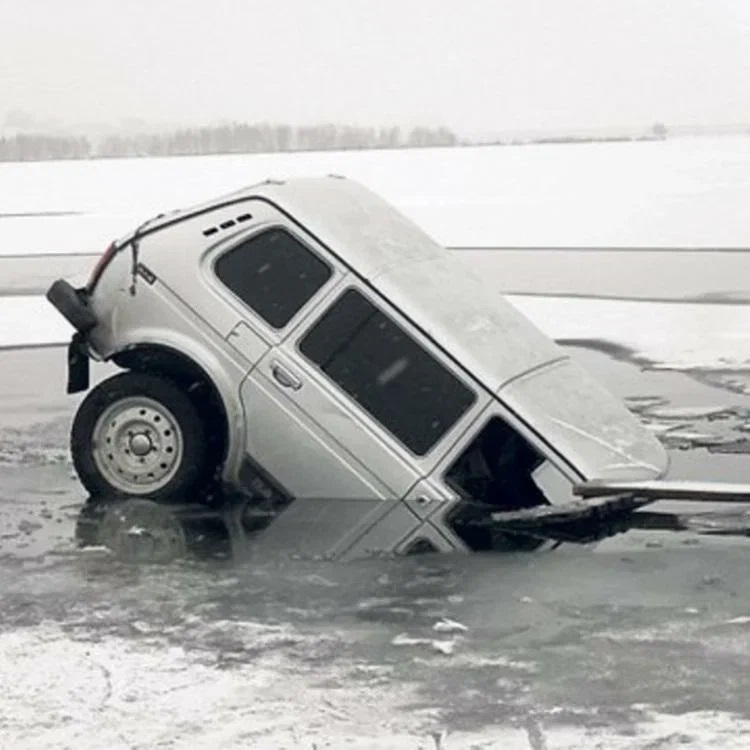 Картинка.jpg