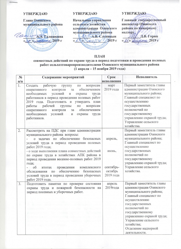 оЗИНКИ.jpg