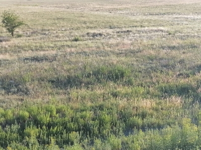 IMG-20240611-WA0006.jpg