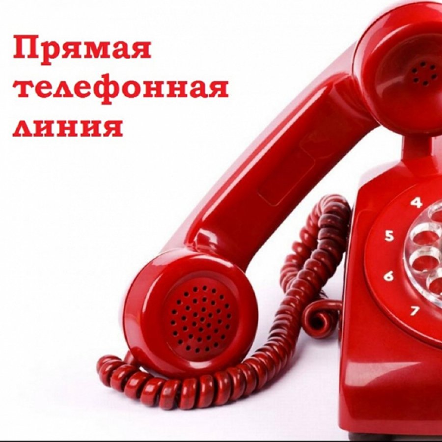 Картинка.jpg