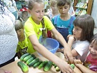 IMG_3382.JPG